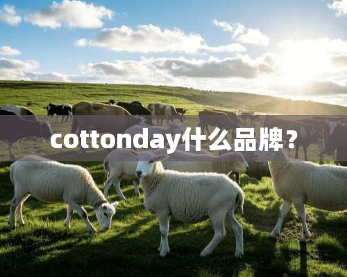 cottonday什么品牌？