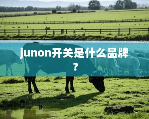 junon开关是什么品牌？