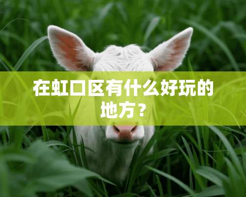 在虹口区有什么好玩的地方？