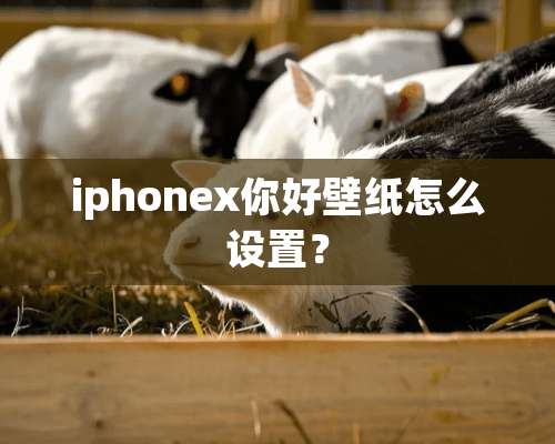 iphonex你好壁纸怎么设置？