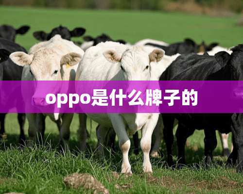 oppo是什么牌子的