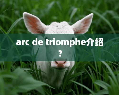 arc de triomphe介绍？