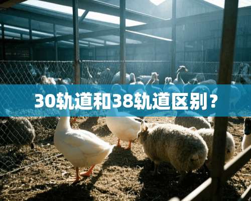 30轨道和38轨道区别？