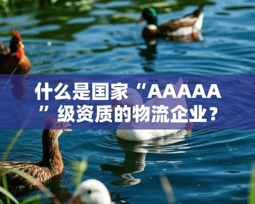 什么是国家“AAAAA”级资质的物流企业？