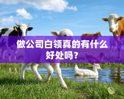 做公司白领真的有什么好处吗？