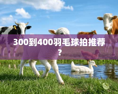 300到400羽毛球拍推荐？