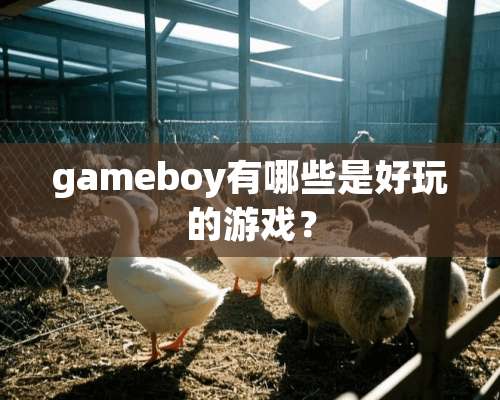 gameboy有哪些是好玩的游戏？