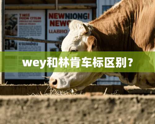 wey和林肯车标区别？