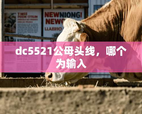 dc5521公母头线，哪个为输入