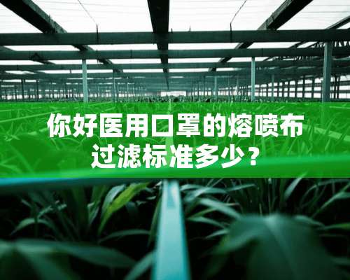 你好医用口罩的熔喷布过滤标准多少？