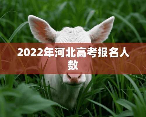 2022年河北高考报名人数