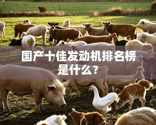 国产十佳发动机排名榜是什么？