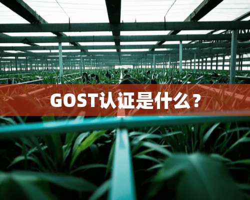 GOST认证是什么？