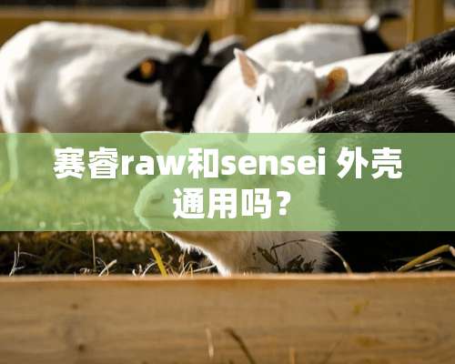 赛睿raw和sensei 外壳 通用吗？