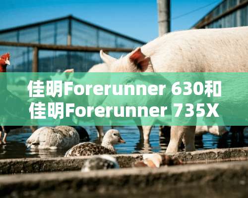 佳明Forerunner 630和佳明Forerunner 735XT有什么区别