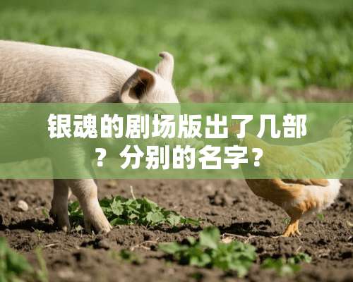 银魂的剧场版出了几部？分别的名字？