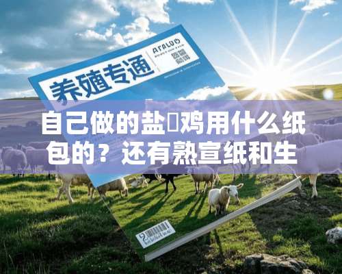 自己做的盐焗鸡用什么纸包的？还有熟宣纸和生宣纸有什么区别？那种可以用来包鸡焗？