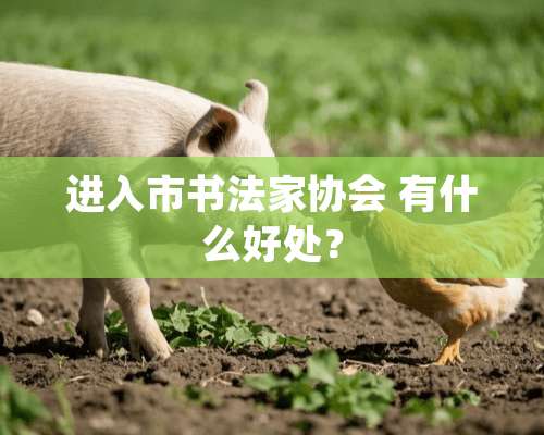 进入市书法家协会 有什么好处？