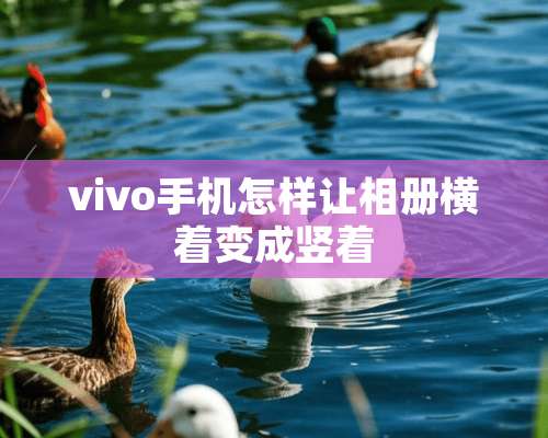 vivo手机怎样让相册横着变成竖着