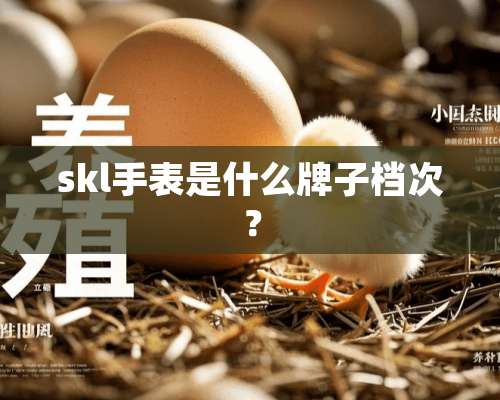 skl手表是什么牌子档次？