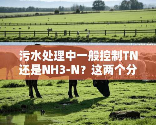 污水处理中一般控制TN还是NH3-N？这两个分别有什么指标呢？