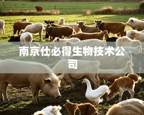 南京仕必得生物技术公司