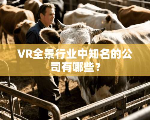 VR全景行业中知名的公司有哪些？