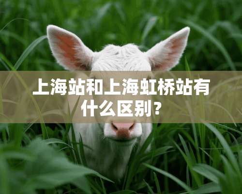 上海站和上海虹桥站有什么区别？