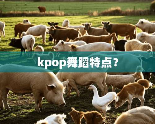 kpop舞蹈特点？