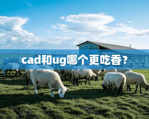 cad和ug哪个更吃香？