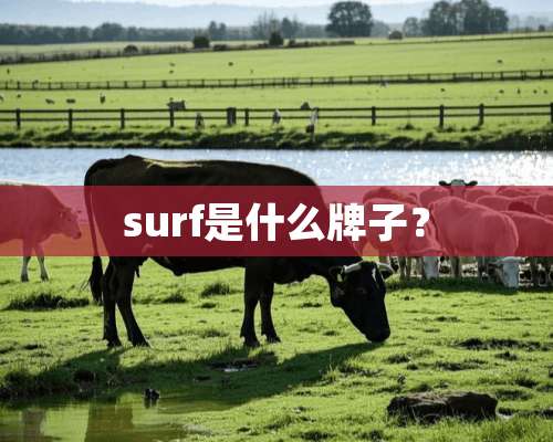 surf是什么牌子？