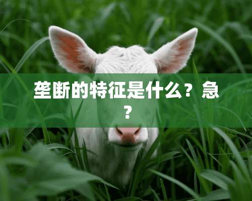 垄断的特征是什么？急？