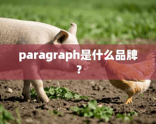 paragraph是什么品牌？