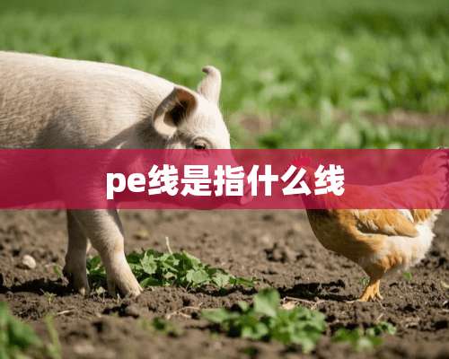 pe线是指什么线