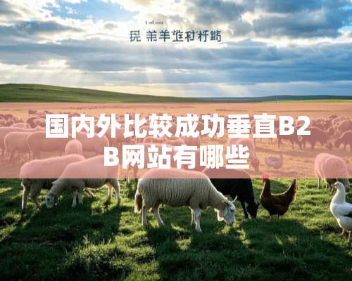 国内外比较成功垂直B2B网站有哪些