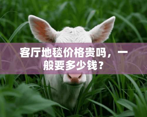 客厅地毯价格贵吗，一般要多少钱？