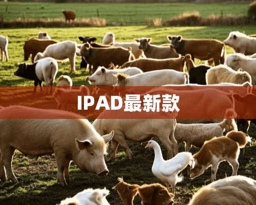 IPAD最新款