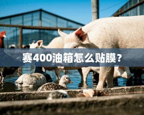 赛400油箱怎么贴膜？