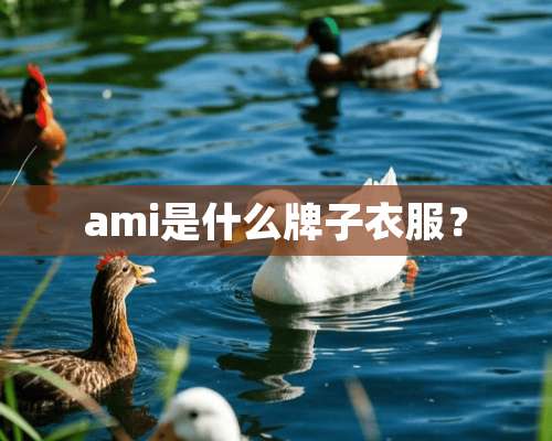 ami是什么牌子衣服？