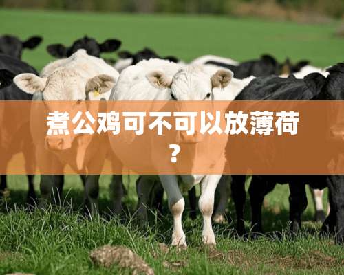 煮公鸡可不可以放薄荷？