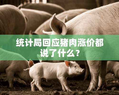 统计局回应猪肉涨价都说了什么？