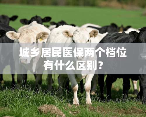 城乡居民医保两个档位有什么区别？