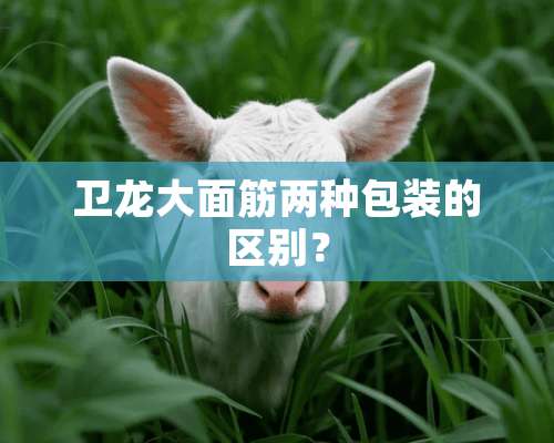 卫龙大面筋两种包装的区别？