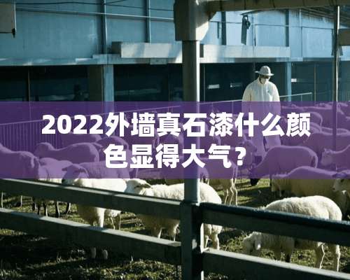 2022外墙真石漆什么颜色显得大气？