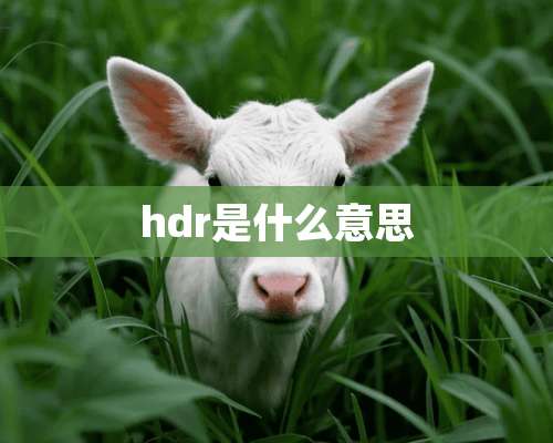 hdr是什么意思