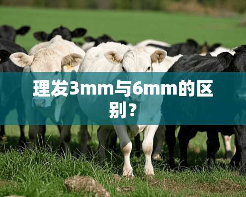 理发3mm与6mm的区别？