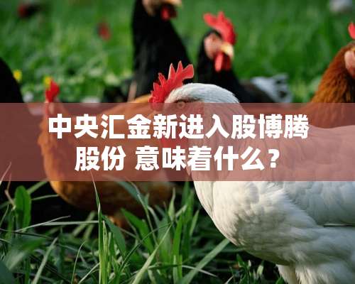 **汇金新进入股博腾股份 意味着什么？