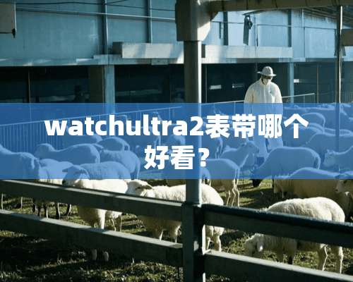 watchultra2表带哪个好看？