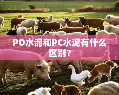 PO水泥和PC水泥有什么区别？