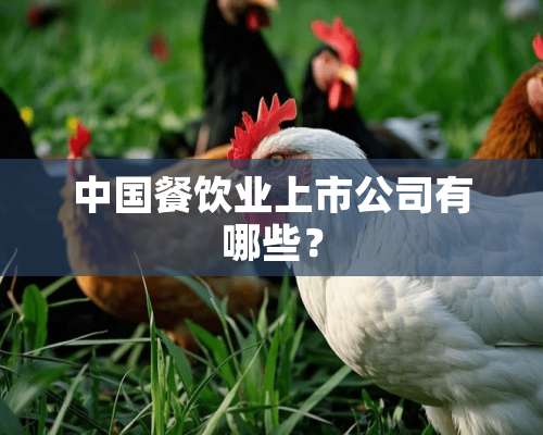 中国餐饮业上市公司有哪些？